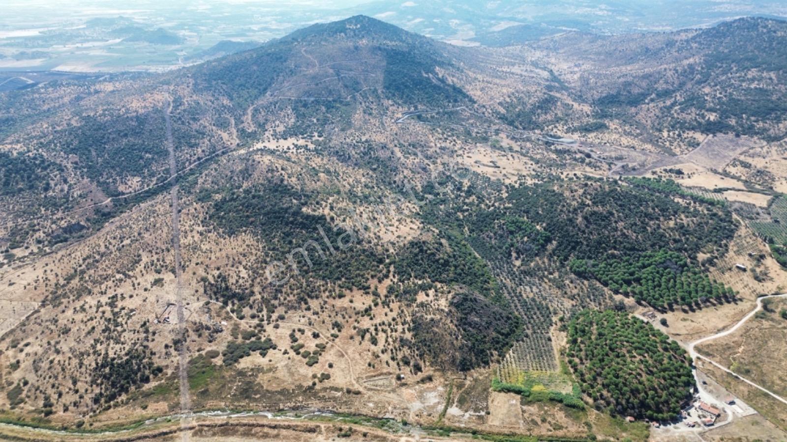 Dikili Salimbey Jeotermal Tarım Ve Enerji Potansiyeli Bir Arada Olan 283.350 M2 Satılık Arazi — fotoğraf 16