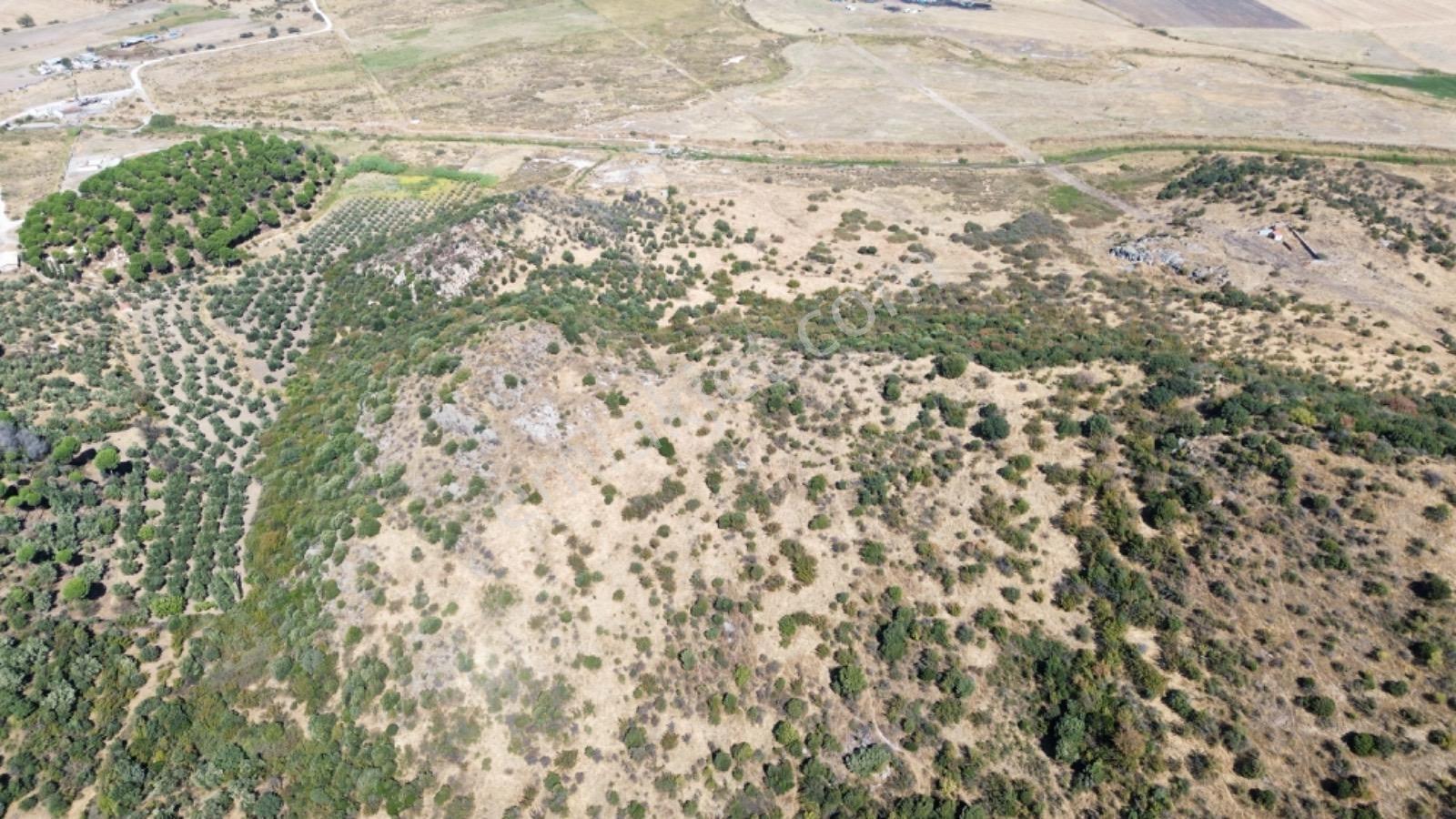 Dikili Salimbey Jeotermal Tarım Ve Enerji Potansiyeli Bir Arada Olan 283.350 M2 Satılık Arazi — fotoğraf 17