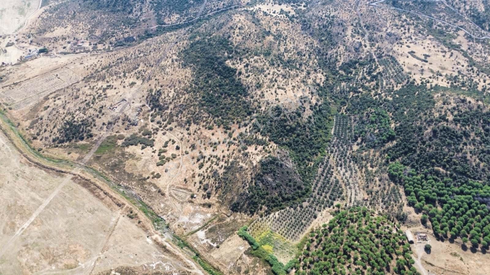 Dikili Salimbey Jeotermal Tarım Ve Enerji Potansiyeli Bir Arada Olan 283.350 M2 Satılık Arazi — fotoğraf 18