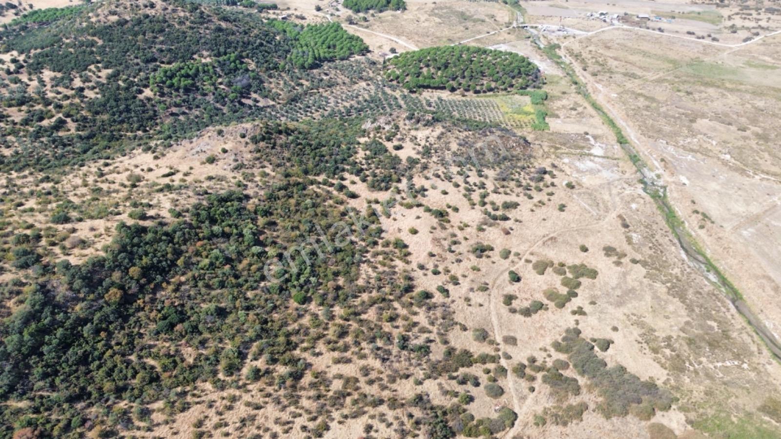 Dikili Salimbey Jeotermal Tarım Ve Enerji Potansiyeli Bir Arada Olan 283.350 M2 Satılık Arazi — fotoğraf 19