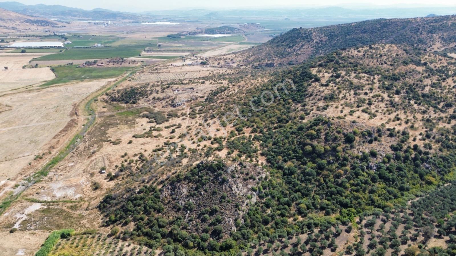 Dikili Salimbey Jeotermal Tarım Ve Enerji Potansiyeli Bir Arada Olan 283.350 M2 Satılık Arazi — fotoğraf 20