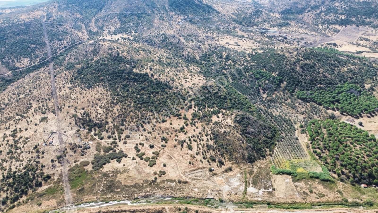 Dikili Salimbey Jeotermal Tarım Ve Enerji Potansiyeli Bir Arada Olan 283.350 M2 Satılık Arazi — fotoğraf 22