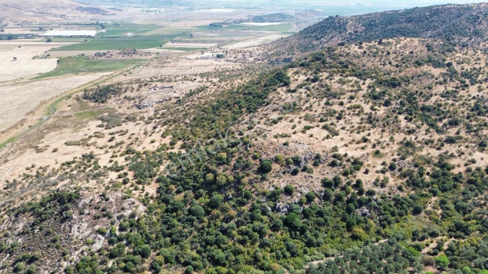 Dikili Salimbey Jeotermal Tarım Ve Enerji Potansiyeli Bir Arada Olan 283.350 M2 Satılık Arazi — fotoğraf 23