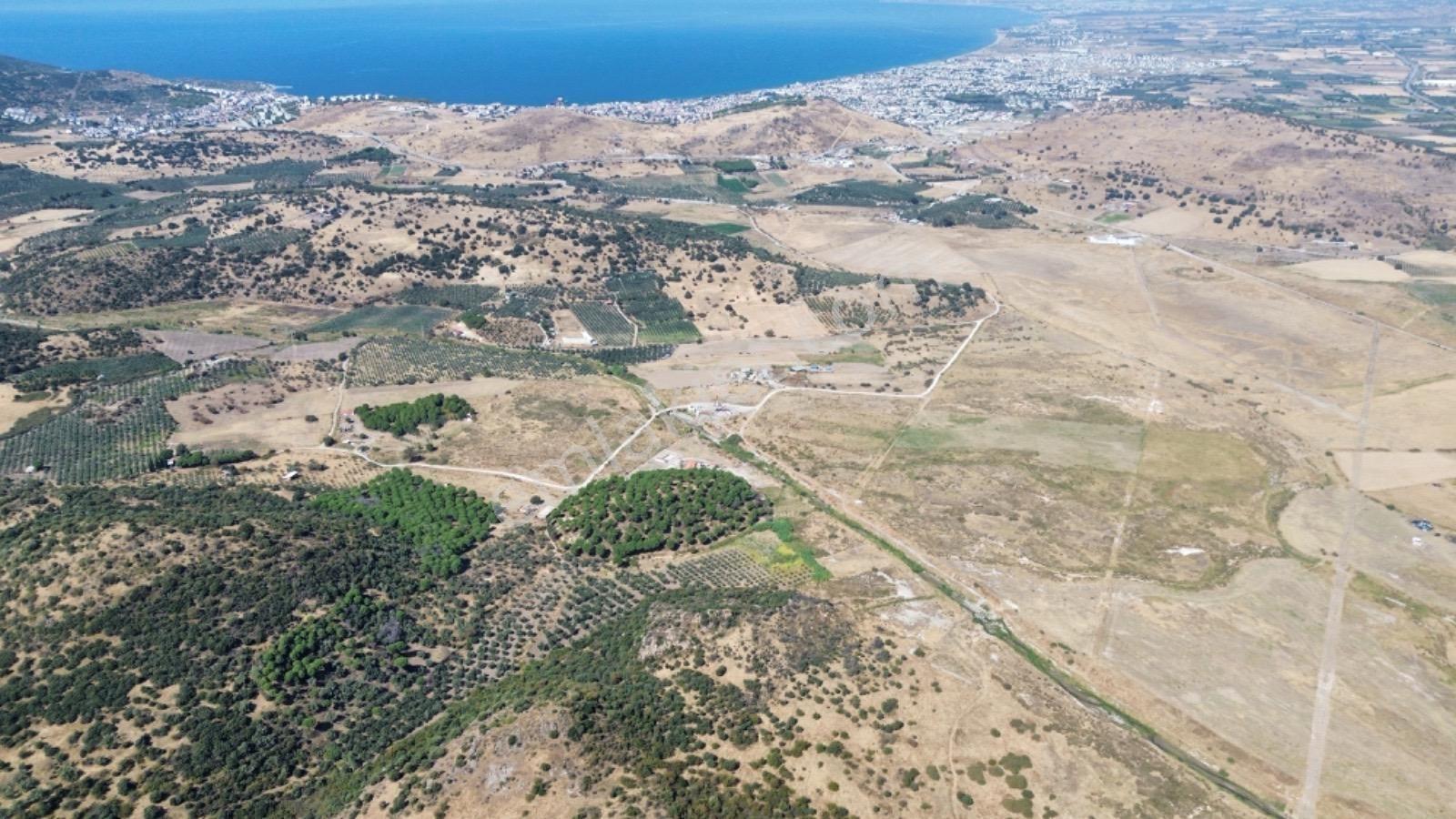 Dikili Salimbey Jeotermal Tarım Ve Enerji Potansiyeli Bir Arada Olan 283.350 M2 Satılık Arazi — fotoğraf 24