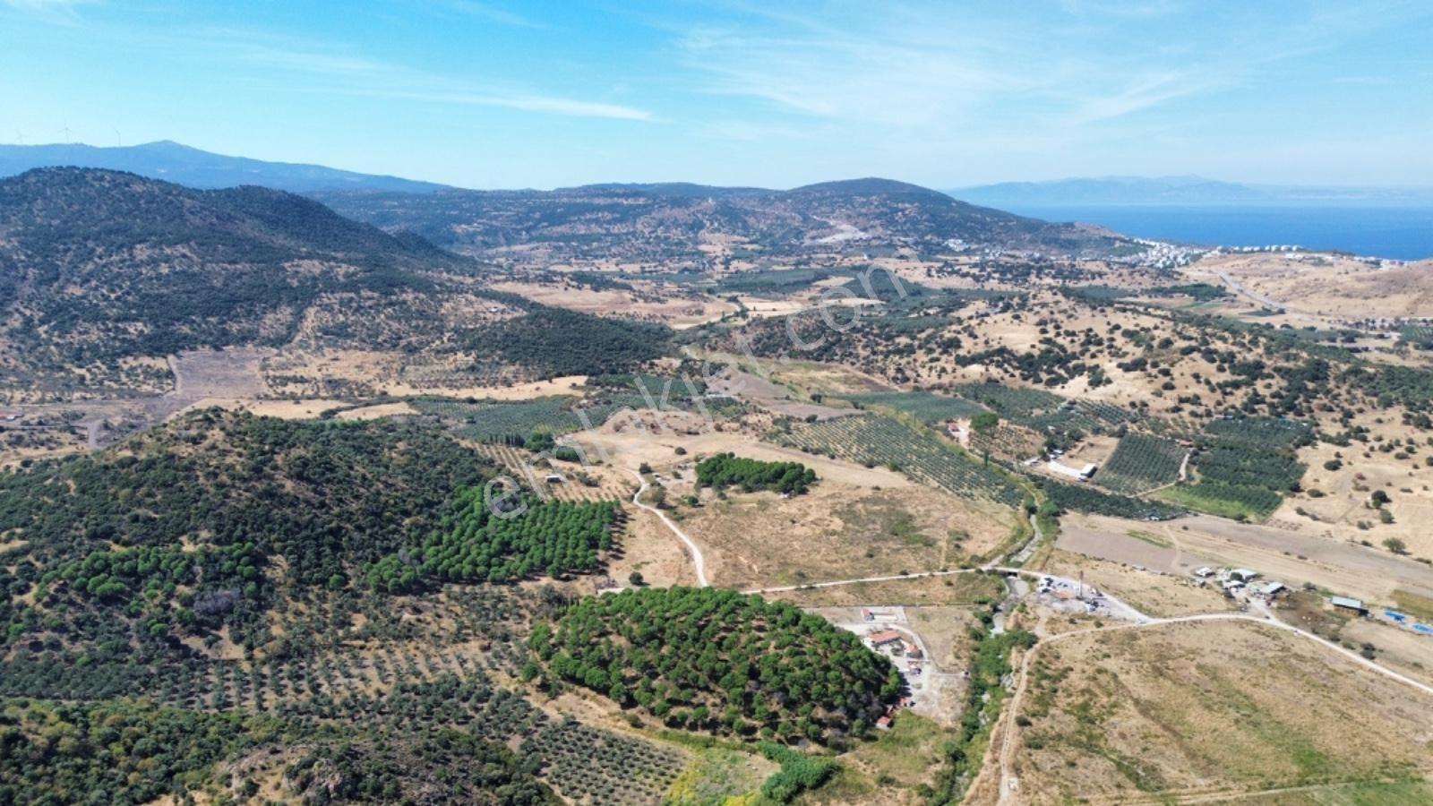 Dikili Salimbey Jeotermal Tarım Ve Enerji Potansiyeli Bir Arada Olan 283.350 M2 Satılık Arazi — fotoğraf 25