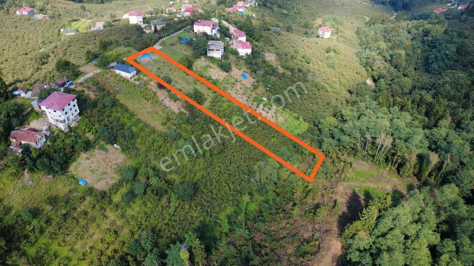 Trabzon Ortahisar Kamışlı'da Satılık Tarla — fotoğraf 6