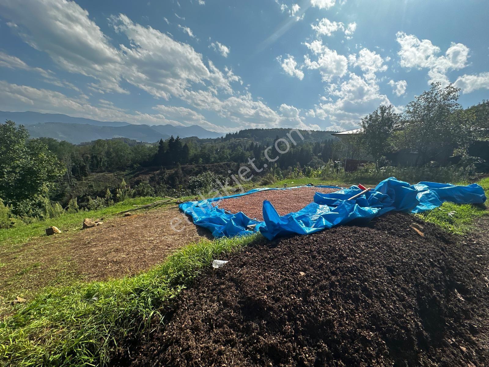Trabzon Ortahisar Kamışlı'da Satılık Tarla — fotoğraf 7