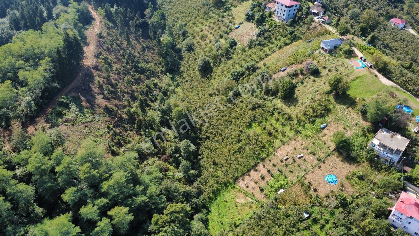 Trabzon Ortahisar Kamışlı'da Satılık Tarla — fotoğraf 8