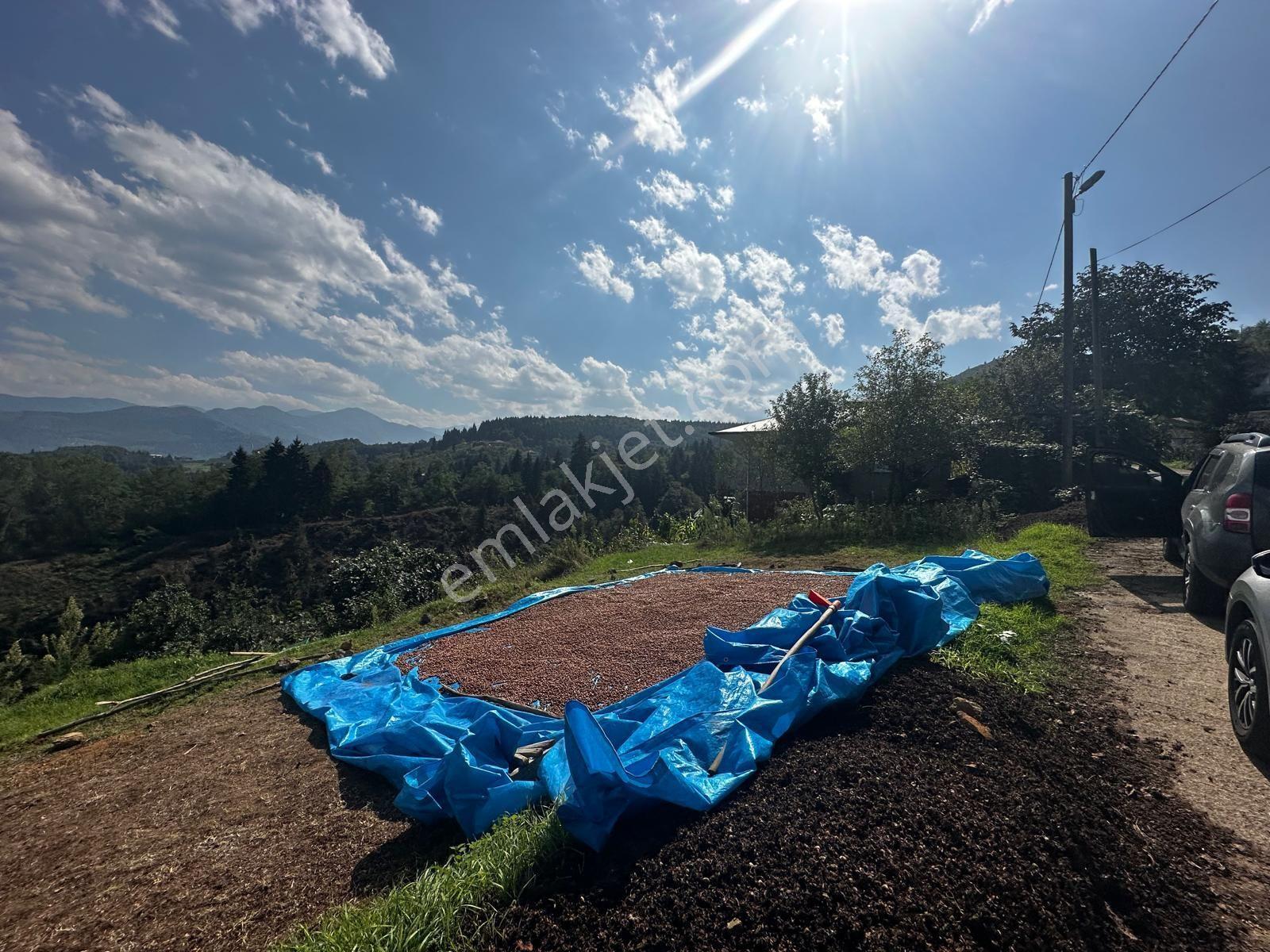 Trabzon Ortahisar Kamışlı'da Satılık Tarla — fotoğraf 11