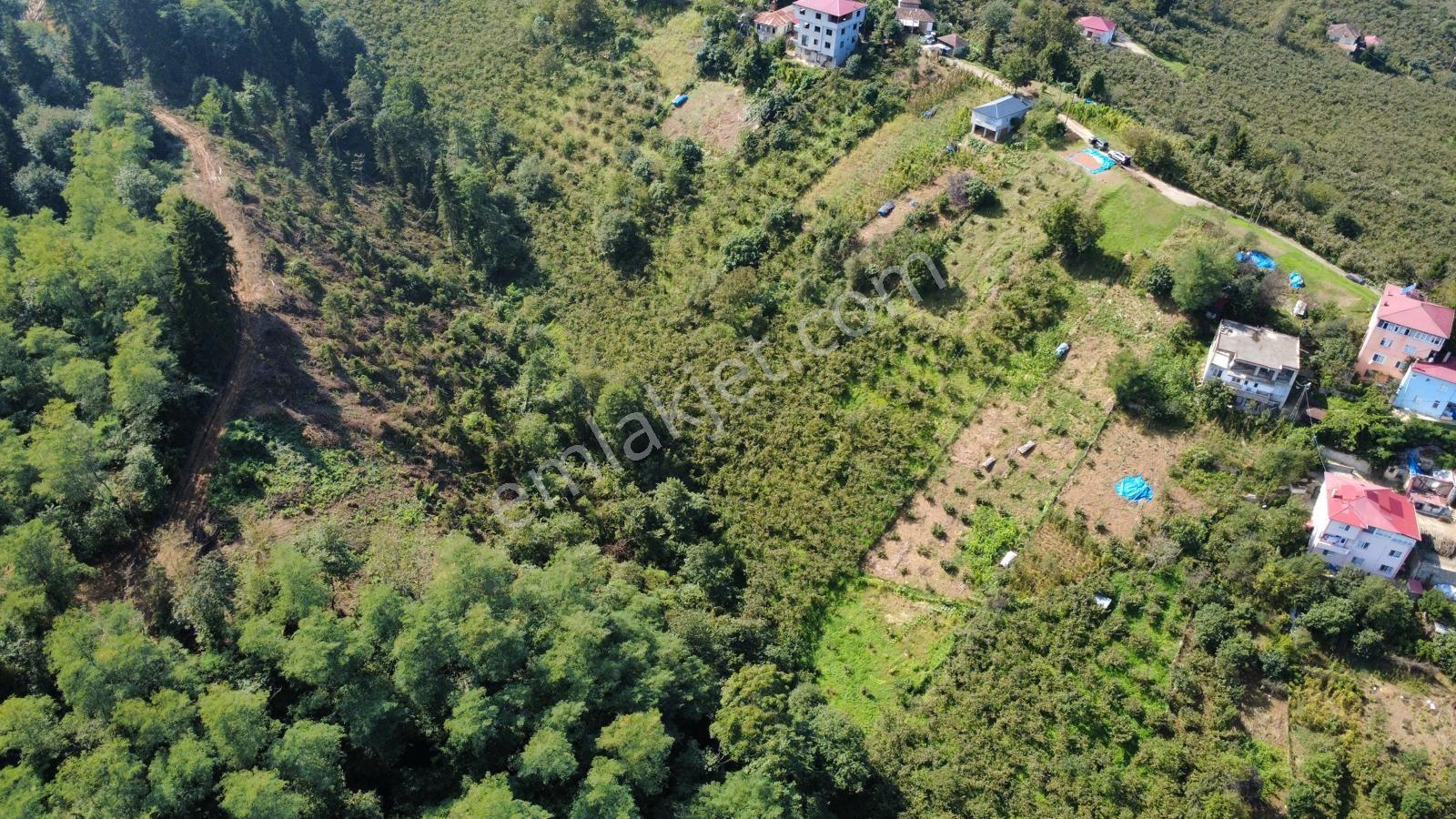 Trabzon Ortahisar Kamışlı'da Satılık Tarla — fotoğraf 14