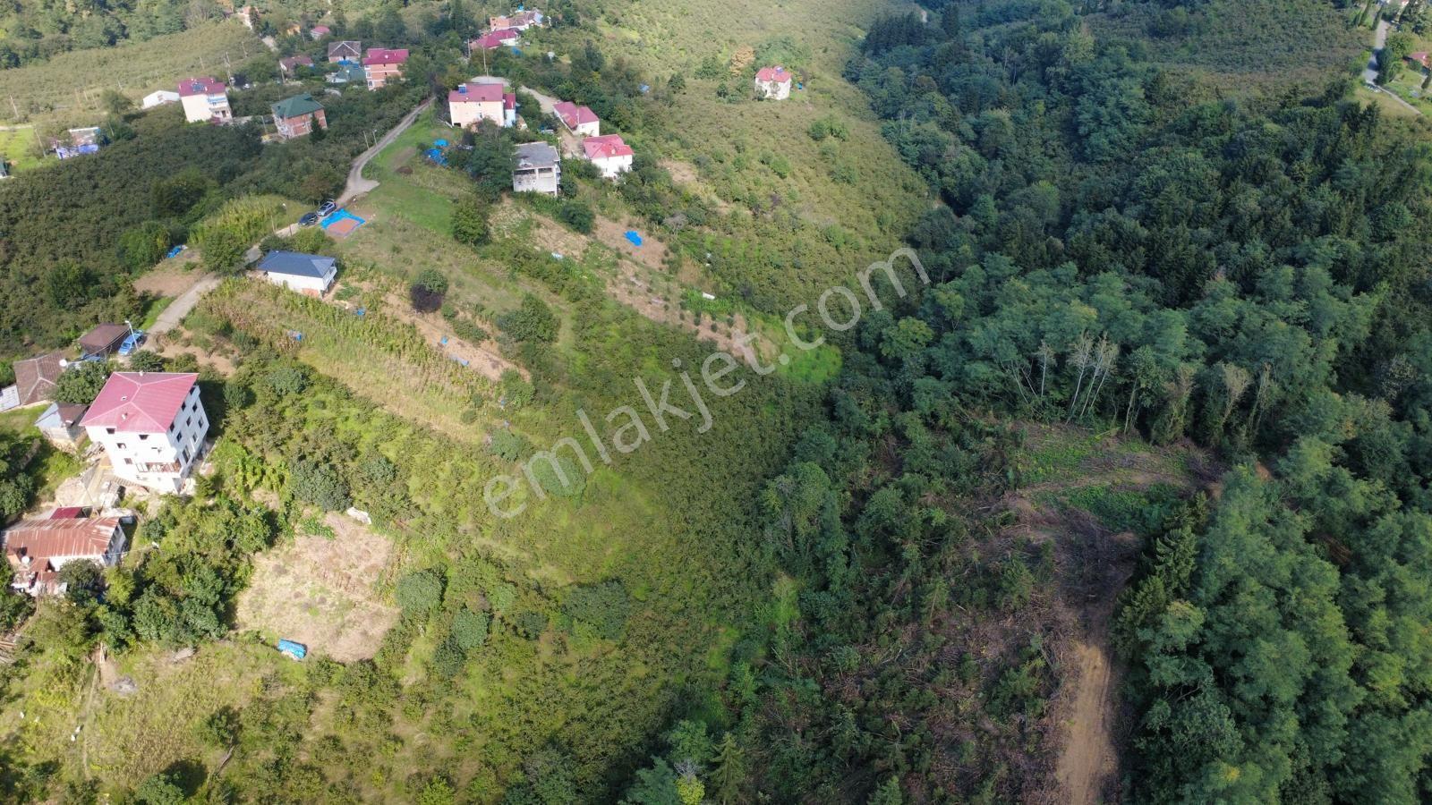 Trabzon Ortahisar Kamışlı'da Satılık Tarla — fotoğraf 15