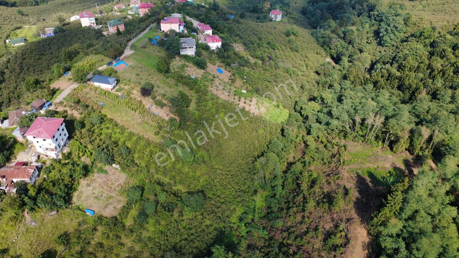 Trabzon Ortahisar Kamışlı'da Satılık Tarla — fotoğraf 17