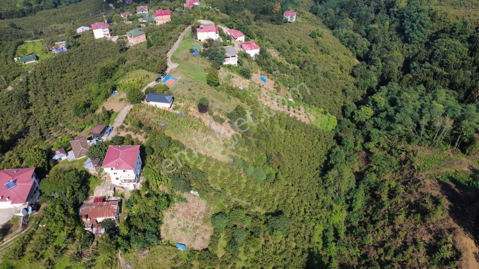 Trabzon Ortahisar Kamışlı'da Satılık Tarla — fotoğraf 19