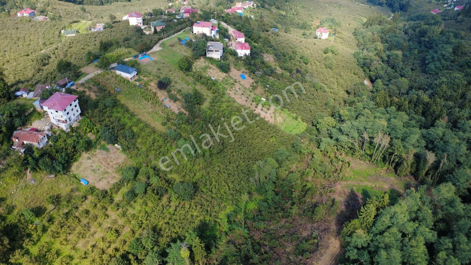 Trabzon Ortahisar Kamışlı'da Satılık Tarla — fotoğraf 20