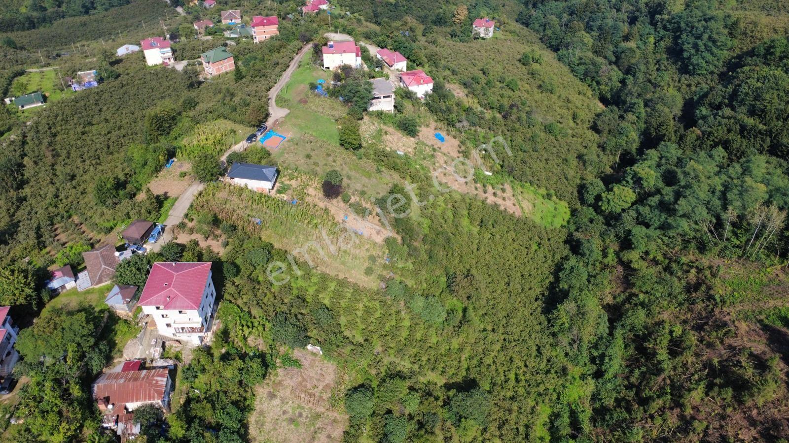 Trabzon Ortahisar Kamışlı'da Satılık Tarla — fotoğraf 21