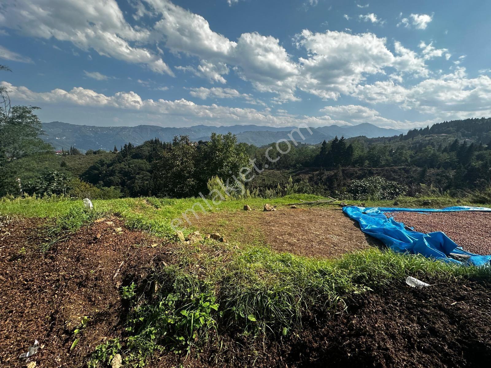 Trabzon Ortahisar Kamışlı'da Satılık Tarla — fotoğraf 22