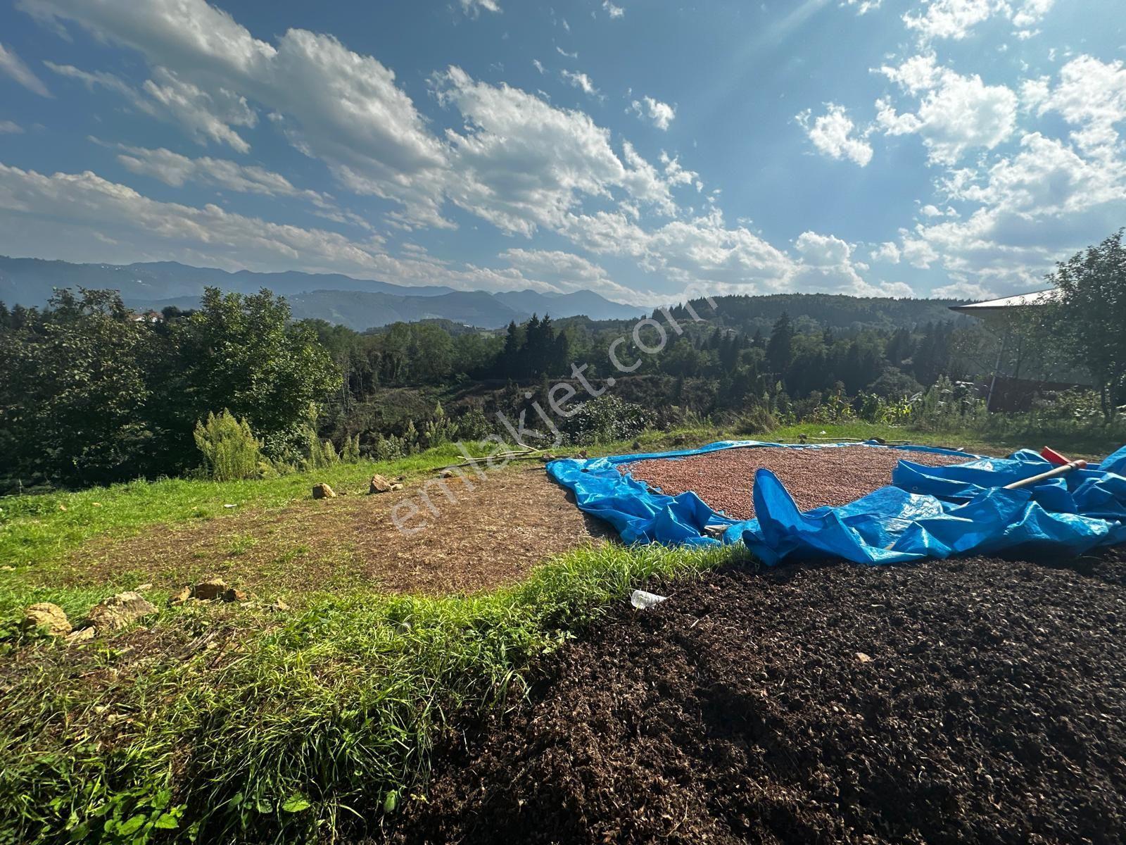 Trabzon Ortahisar Kamışlı'da Satılık Tarla — fotoğraf 24