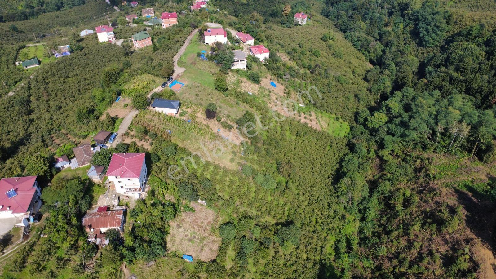 Trabzon Ortahisar Kamışlı'da Satılık Tarla — fotoğraf 25