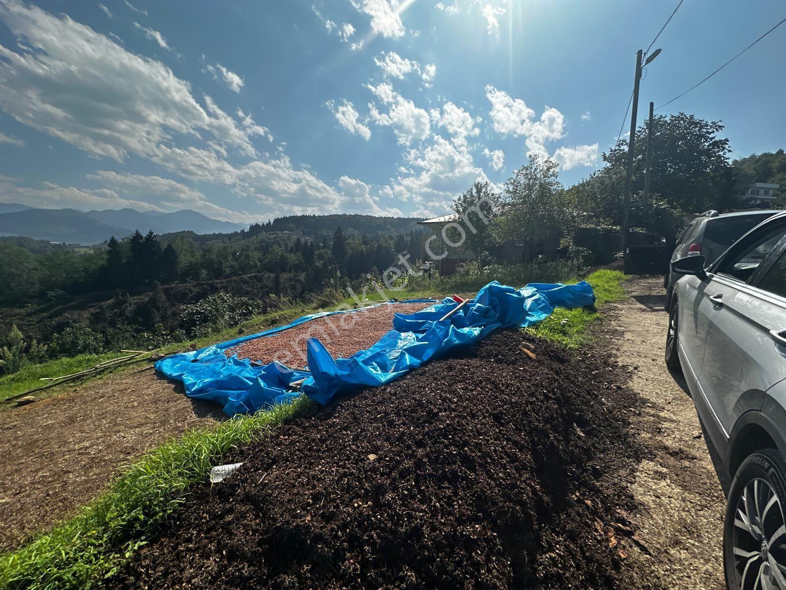 Trabzon Ortahisar Kamışlı'da Satılık Tarla — fotoğraf 26