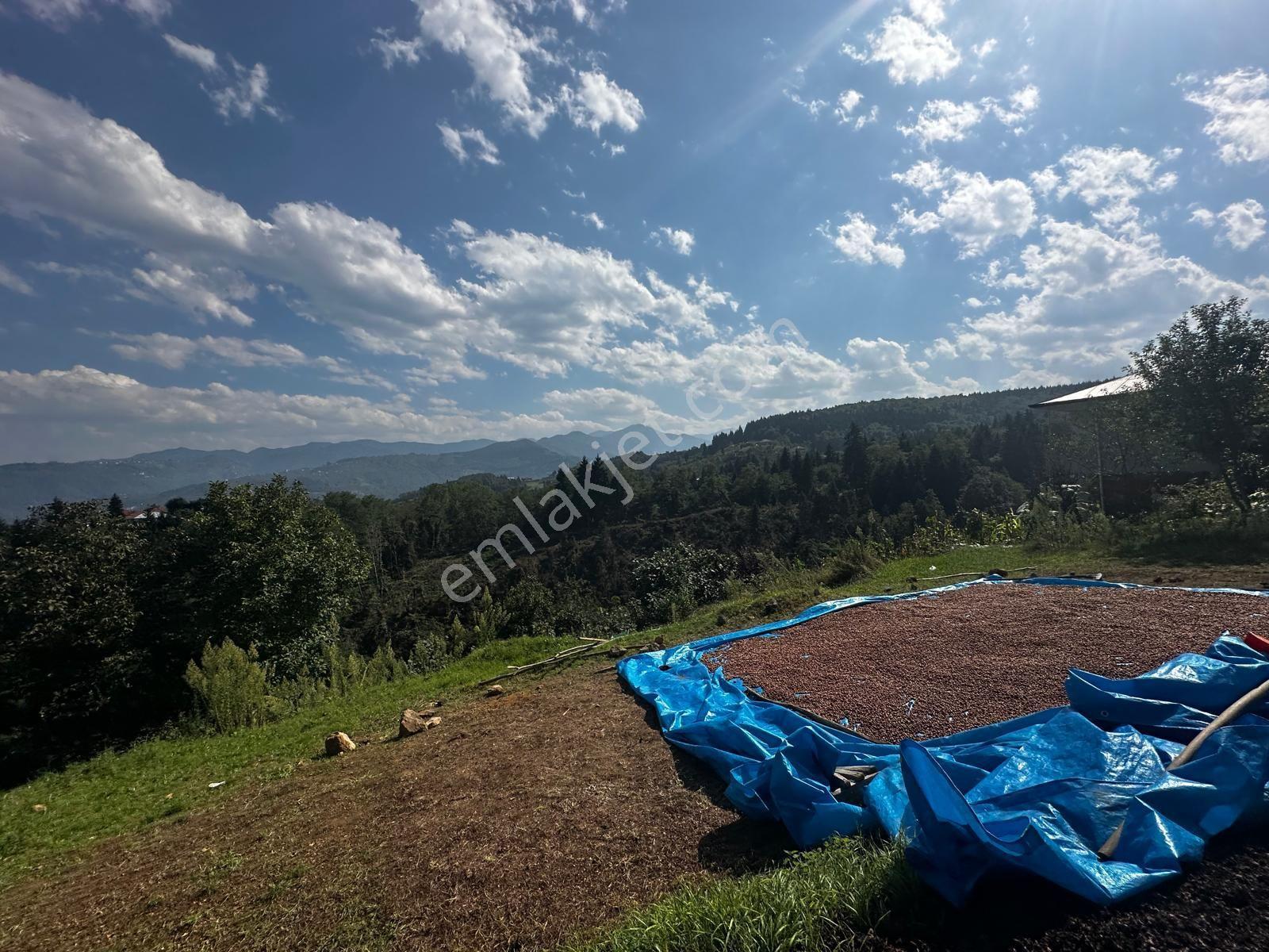 Trabzon Ortahisar Kamışlı'da Satılık Tarla — fotoğraf 27