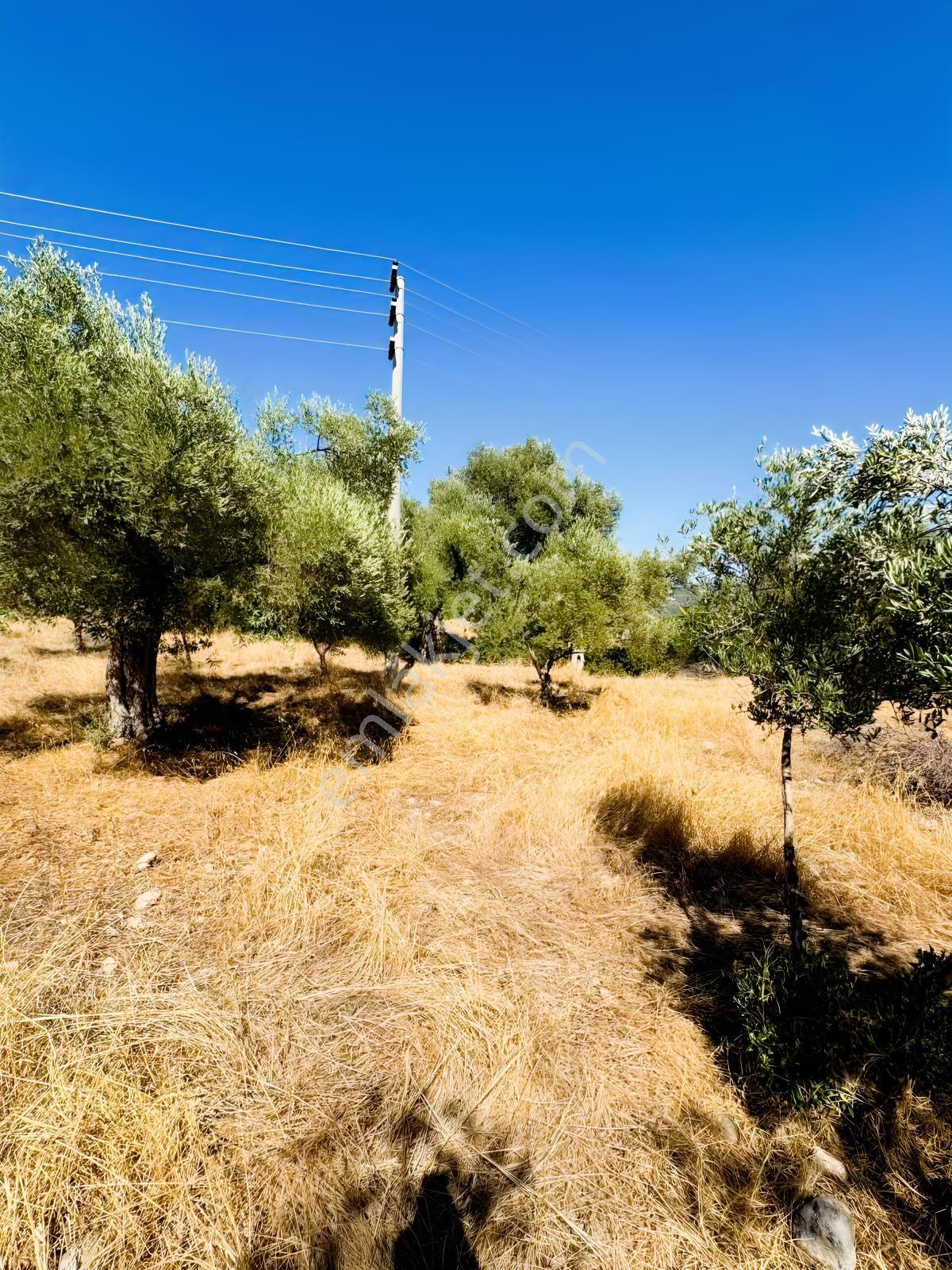 Yeşilbağcılar'da Yol Elektrik Su Problemi Bulunmayan Düz Tarla — fotoğraf 4