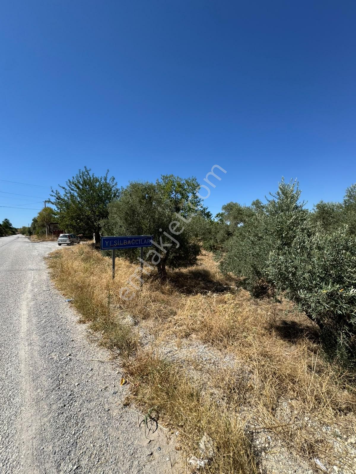 Yeşilbağcılar'da Yol Elektrik Su Problemi Bulunmayan Düz Tarla — fotoğraf 13