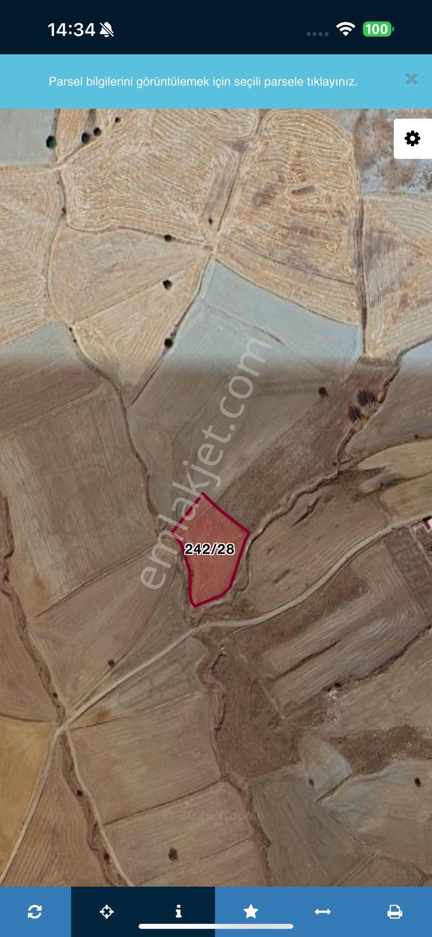 Acil Selçuklu Sızma Da 4.226 M2 Tarla Yolu Var Köye 1,5 Km — fotoğraf 3