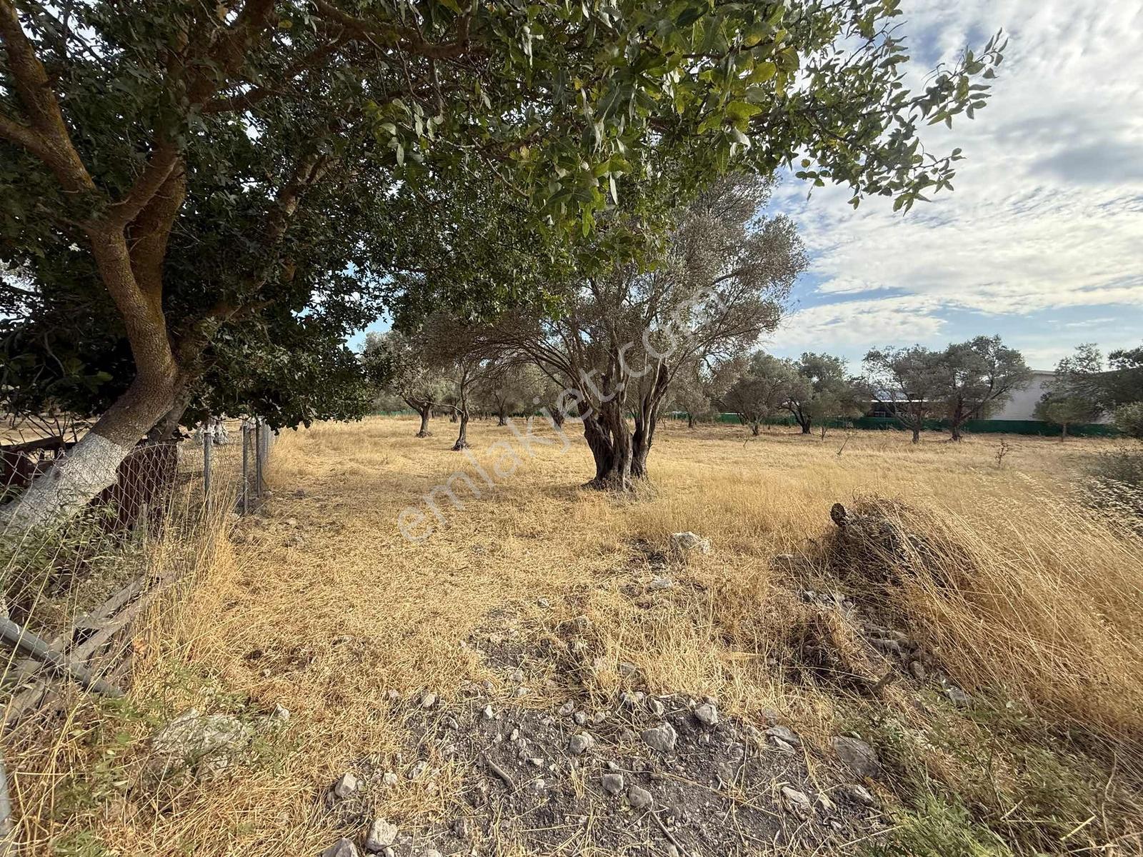 Urla Özbek Köyünde Yatırımlık Satılık Tarla — fotoğraf 2