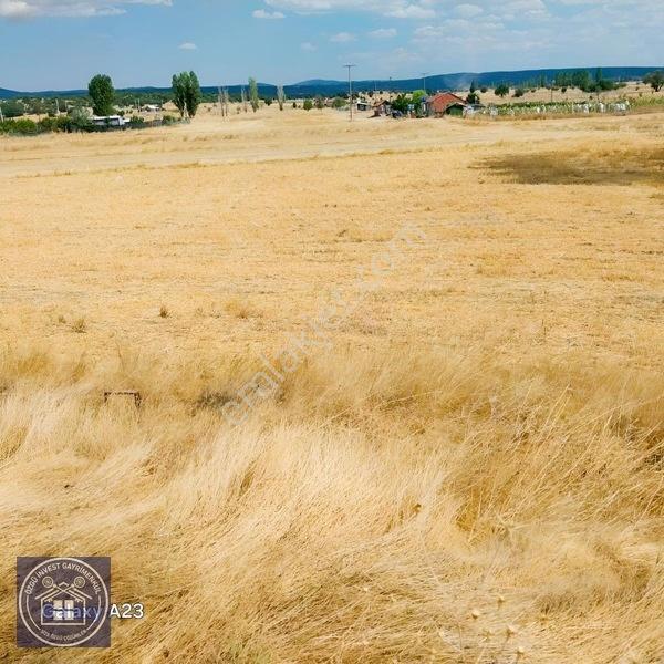 Büyüksaka Da Mükemmel Konumda Yatırımlık Tarla — fotoğraf 4