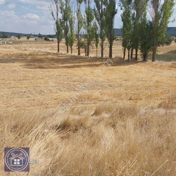 Büyüksaka Da Mükemmel Konumda Yatırımlık Tarla — fotoğraf 5
