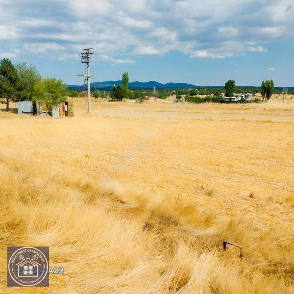 Büyüksaka Da Mükemmel Konumda Yatırımlık Tarla — fotoğraf 6