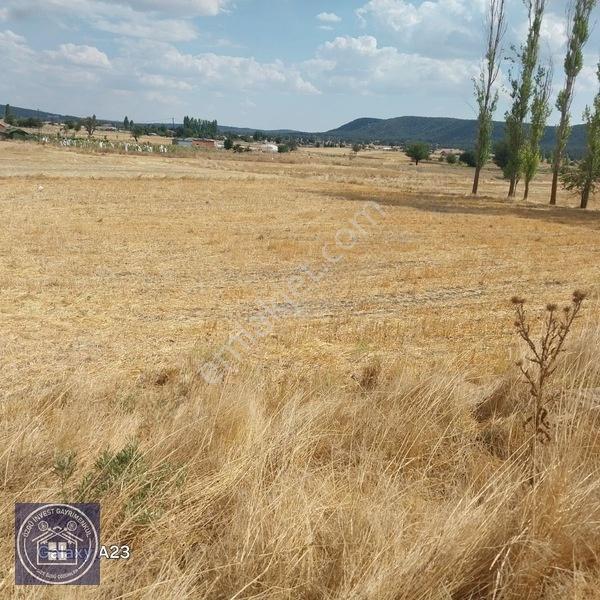 Büyüksaka Da Mükemmel Konumda Yatırımlık Tarla — fotoğraf 7
