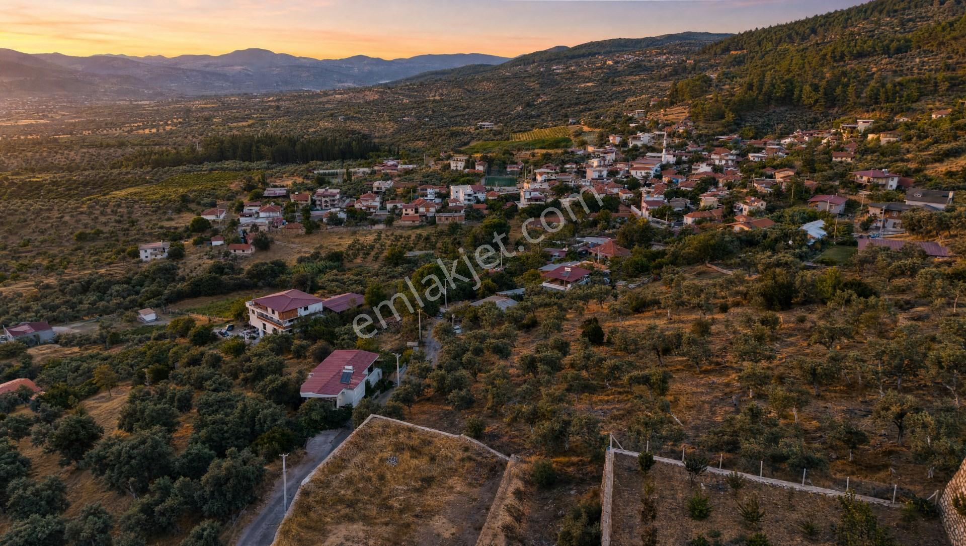 Torbalı Karakızlar Köyünde Manzaralı Yola Sıfır Satılık Zeytinlik