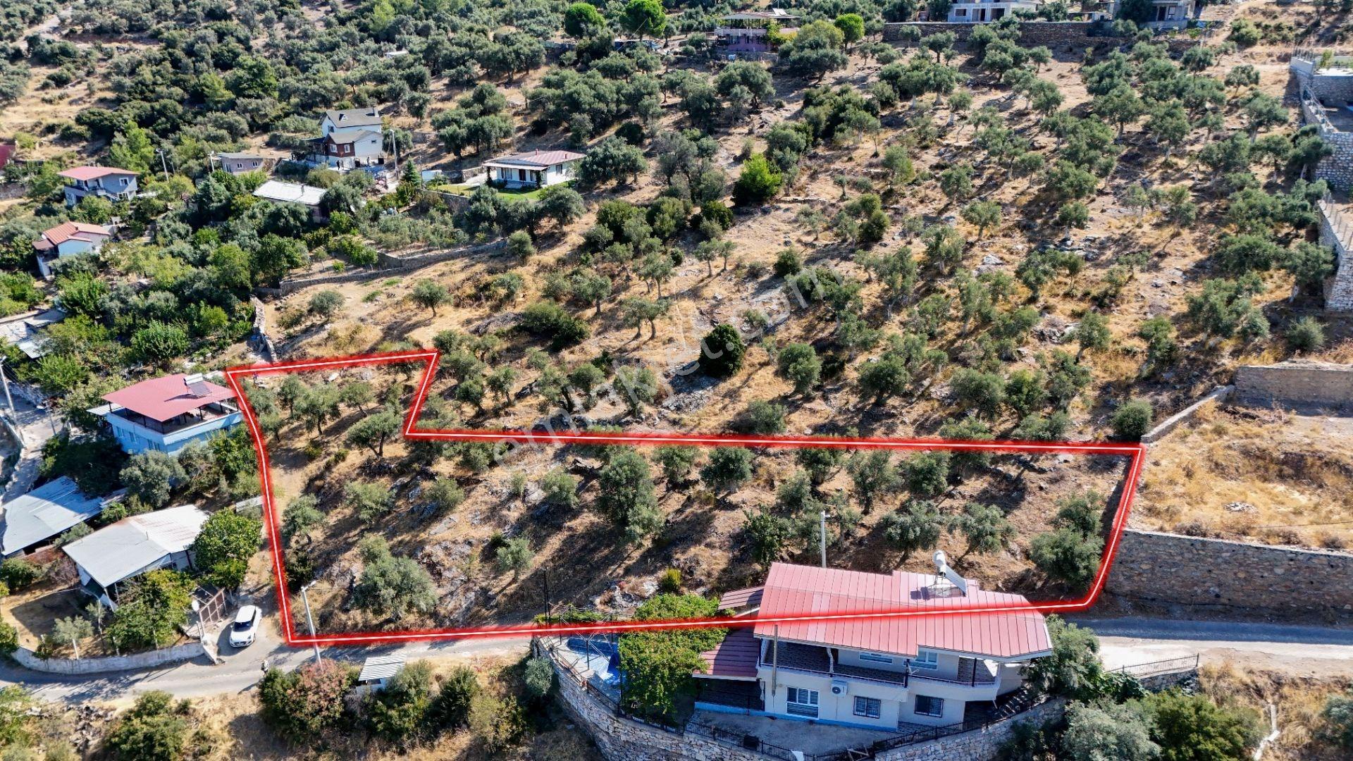 Torbalı Karakızlar Köyünde Manzaralı Yola Sıfır Satılık Zeytinlik — fotoğraf 2