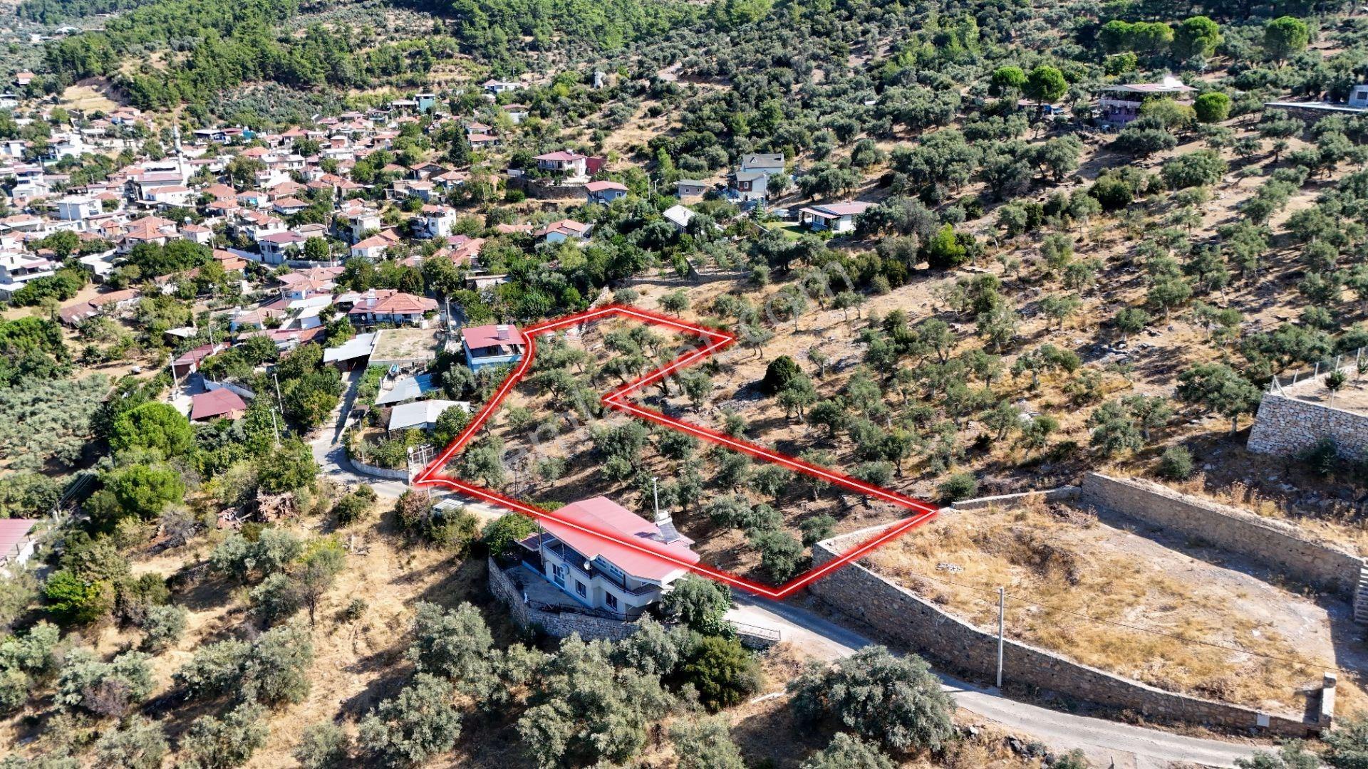 Torbalı Karakızlar Köyünde Manzaralı Yola Sıfır Satılık Zeytinlik — fotoğraf 4