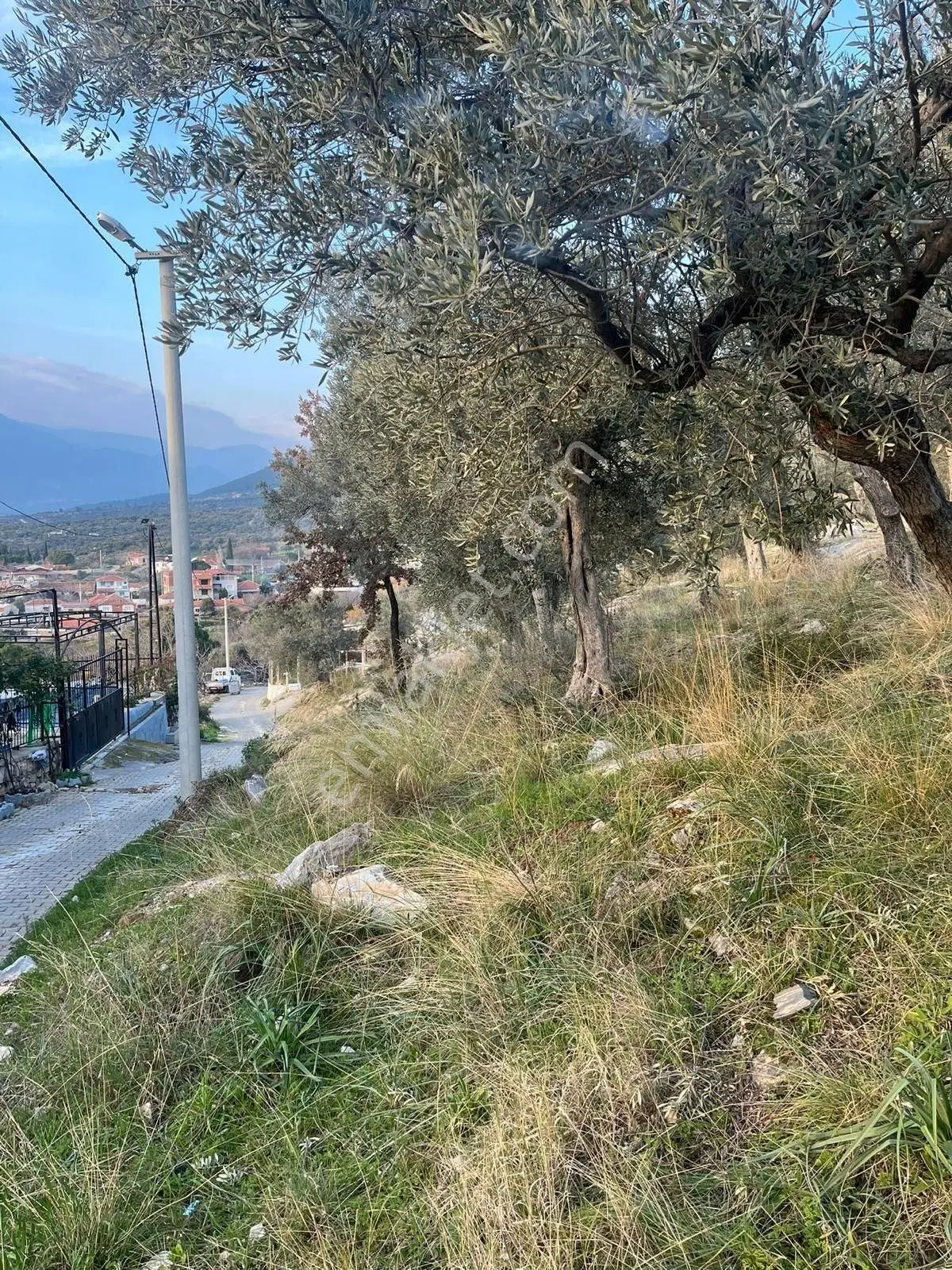 Torbalı Karakızlar Köyünde Manzaralı Yola Sıfır Satılık Zeytinlik — fotoğraf 5