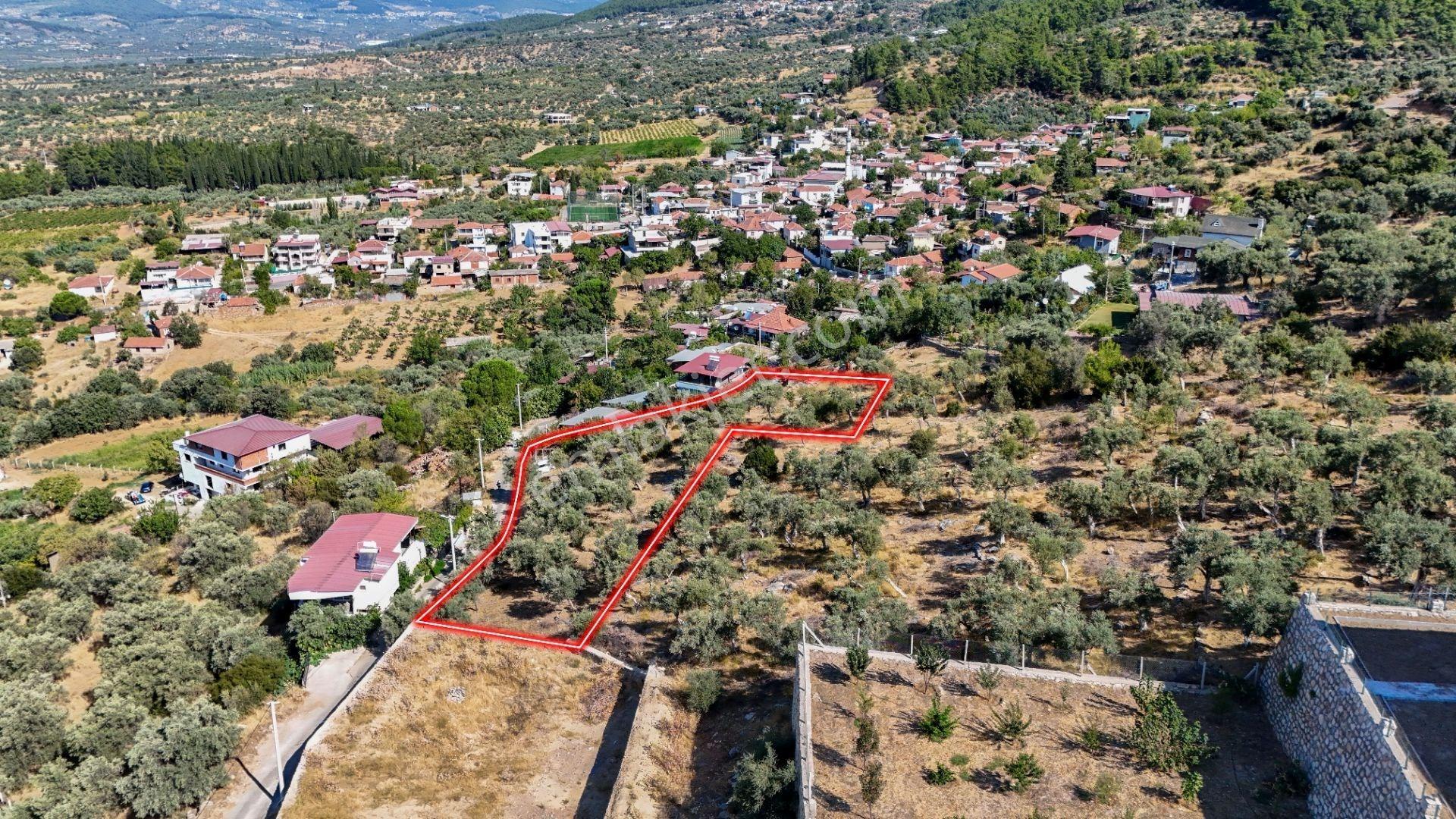 Torbalı Karakızlar Köyünde Manzaralı Yola Sıfır Satılık Zeytinlik — fotoğraf 6