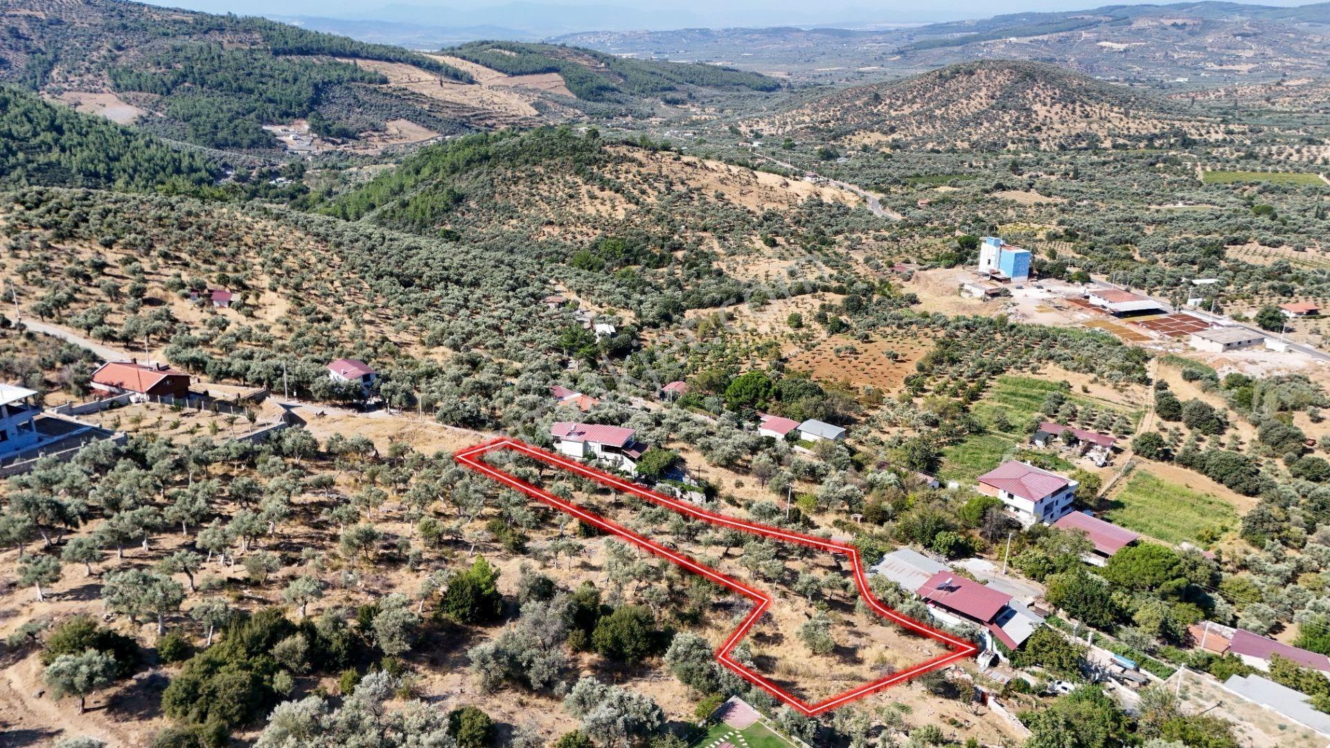 Torbalı Karakızlar Köyünde Manzaralı Yola Sıfır Satılık Zeytinlik — fotoğraf 8
