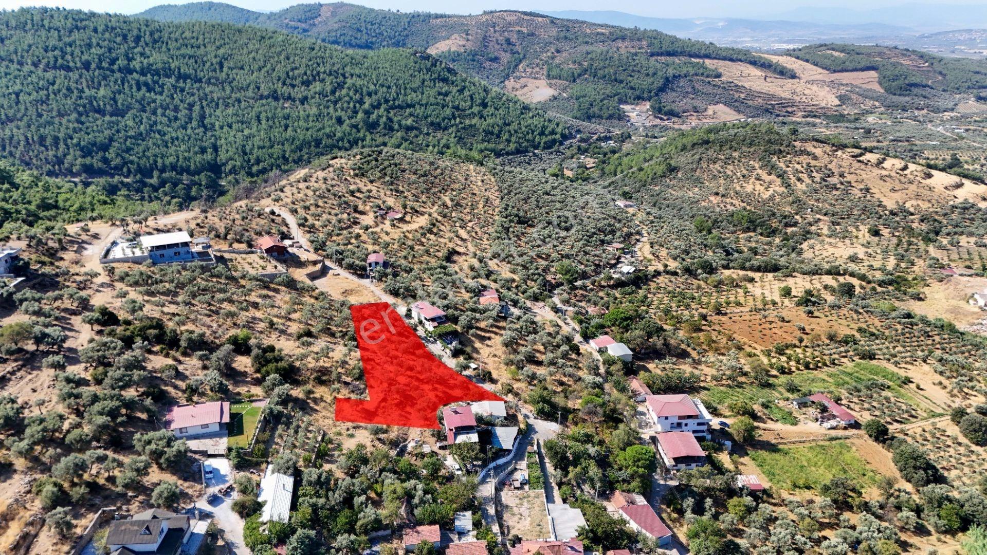 Torbalı Karakızlar Köyünde Manzaralı Yola Sıfır Satılık Zeytinlik — fotoğraf 12