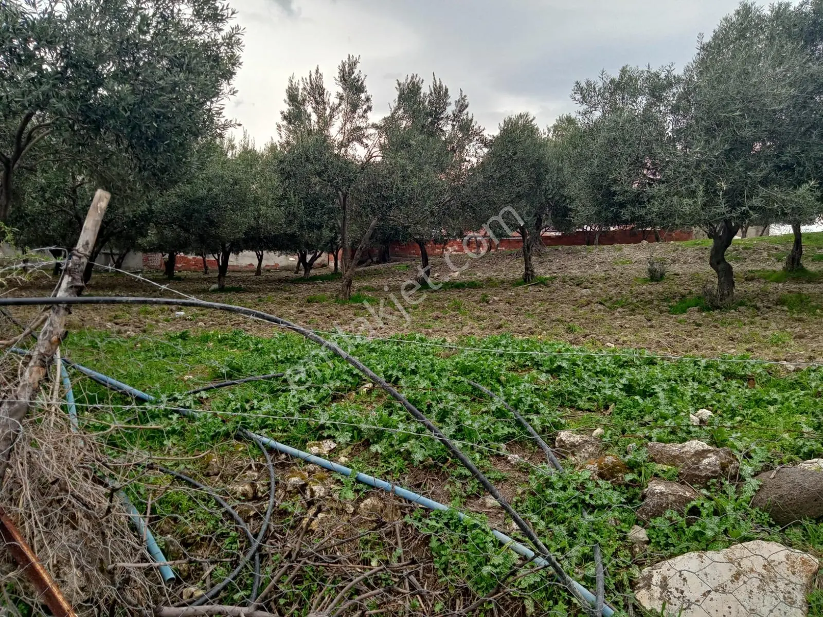 Uzun Emlak'tan Saruhanlı Çakmaklı'da İmarlı Arsa