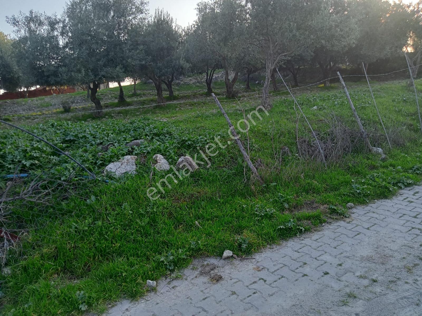 Uzun Emlak'tan Saruhanlı Çakmaklı'da İmarlı Arsa — fotoğraf 3