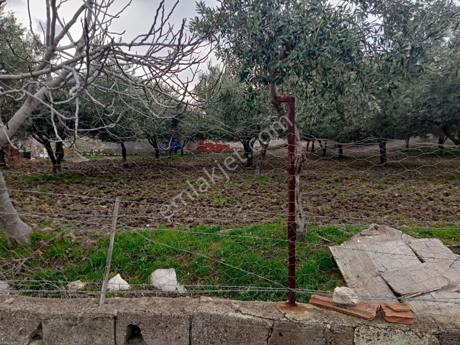 Uzun Emlak'tan Saruhanlı Çakmaklı'da İmarlı Arsa — fotoğraf 5