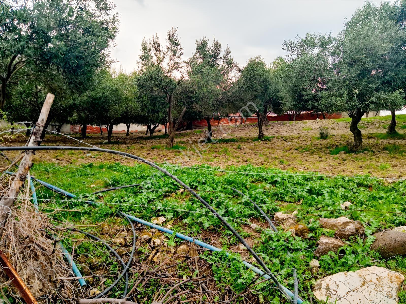 Uzun Emlak'tan Saruhanlı Çakmaklı'da İmarlı Arsa — fotoğraf 8