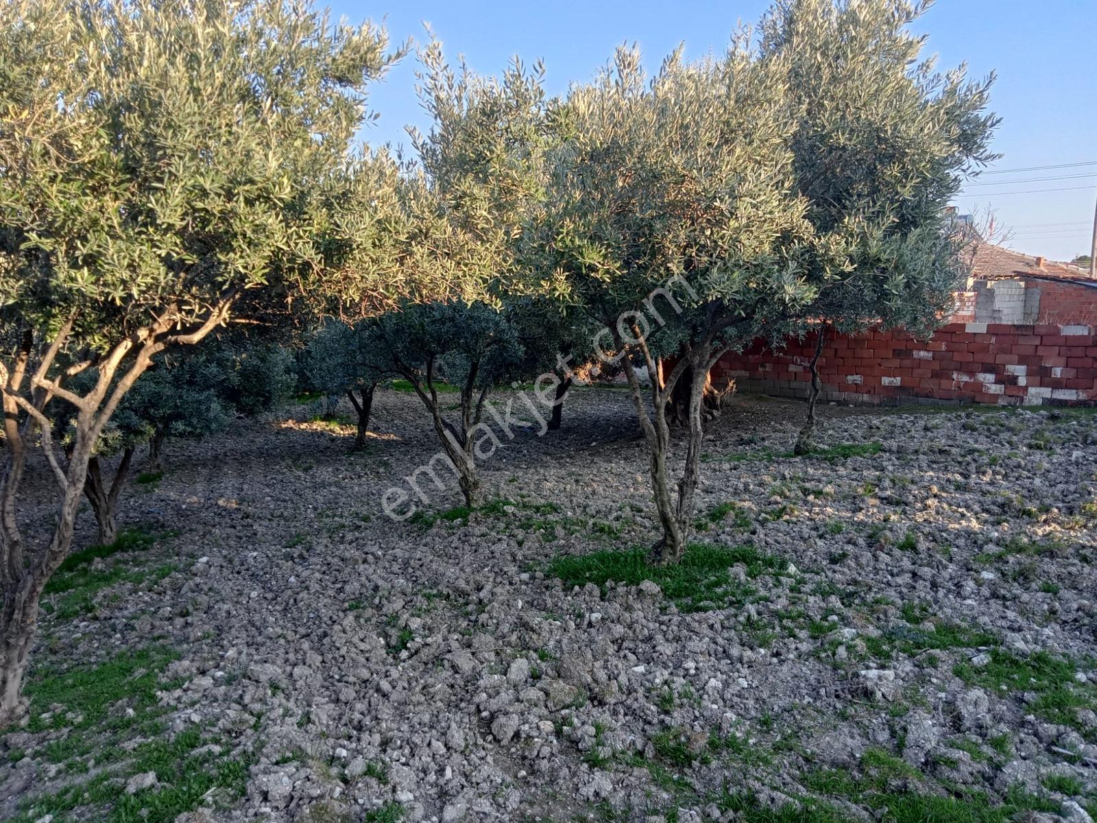 Uzun Emlak'tan Saruhanlı Çakmaklı'da İmarlı Arsa — fotoğraf 10