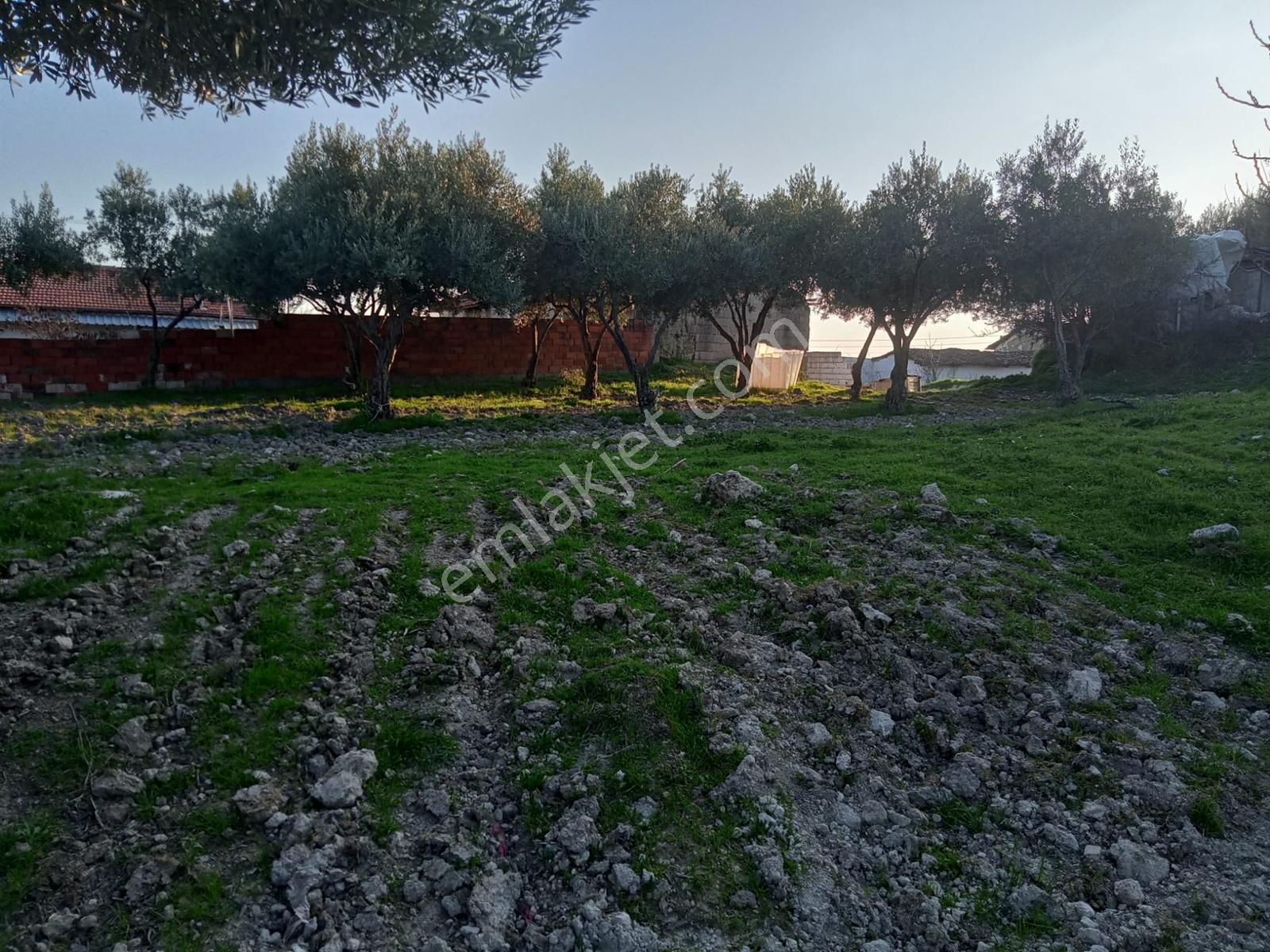 Uzun Emlak'tan Saruhanlı Çakmaklı'da İmarlı Arsa — fotoğraf 11