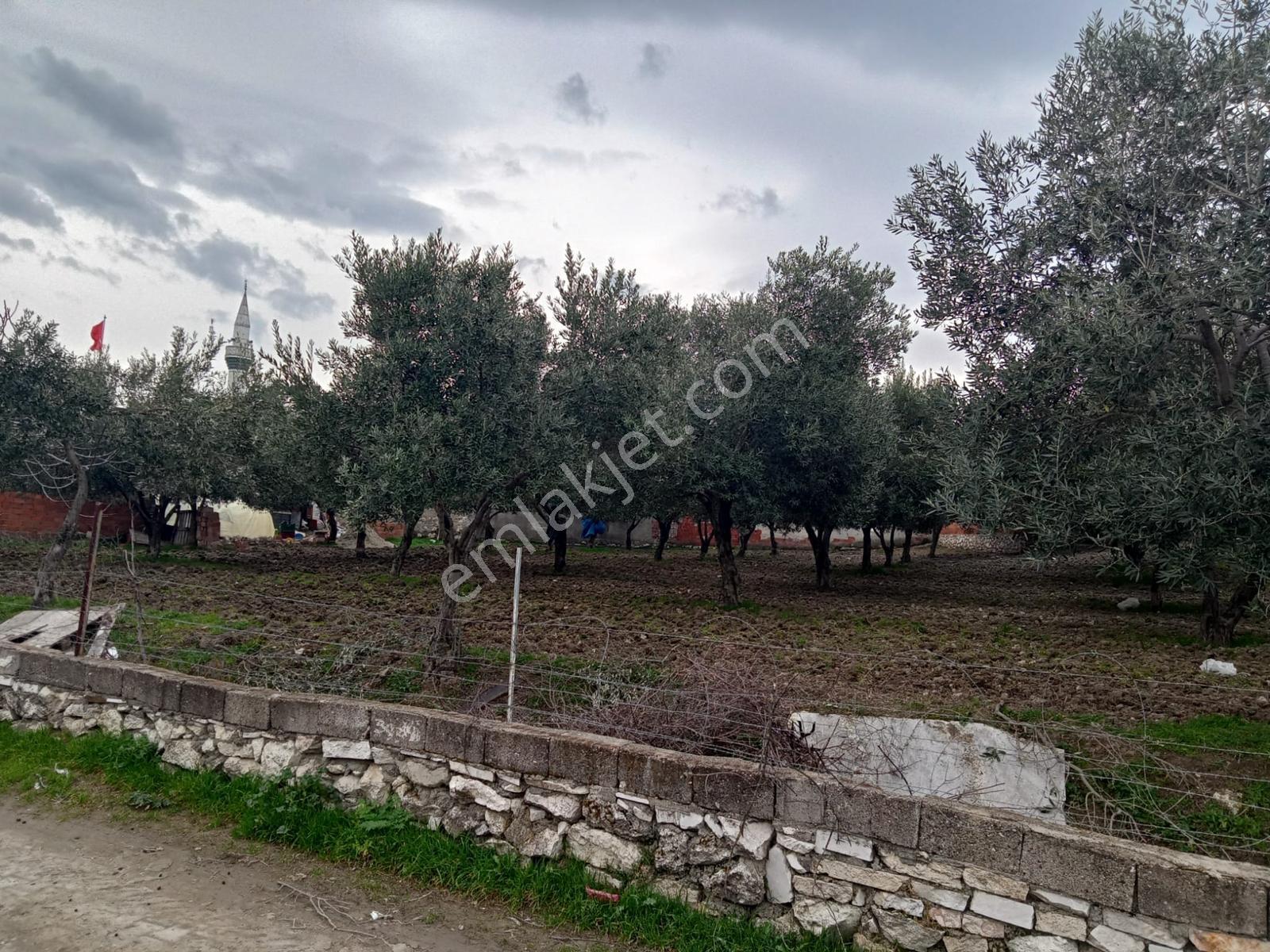 Uzun Emlak'tan Saruhanlı Çakmaklı'da İmarlı Arsa — fotoğraf 12