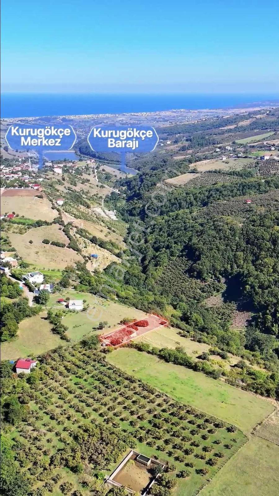 Kurugökçede Projesi Hazır Deniz Manzaralı Tarla — fotoğraf 9