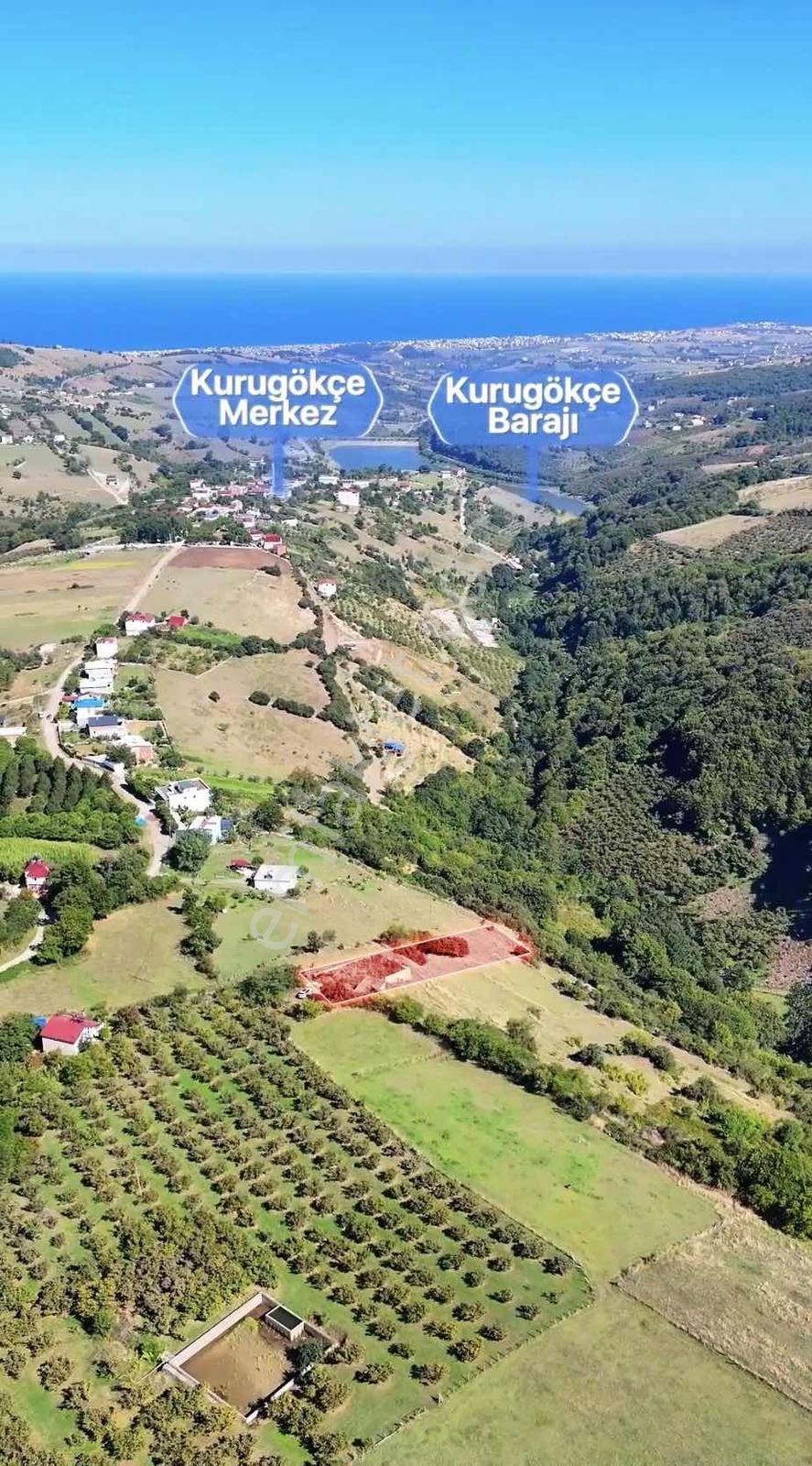 Kurugökçede Projesi Hazır Deniz Manzaralı Tarla — fotoğraf 10