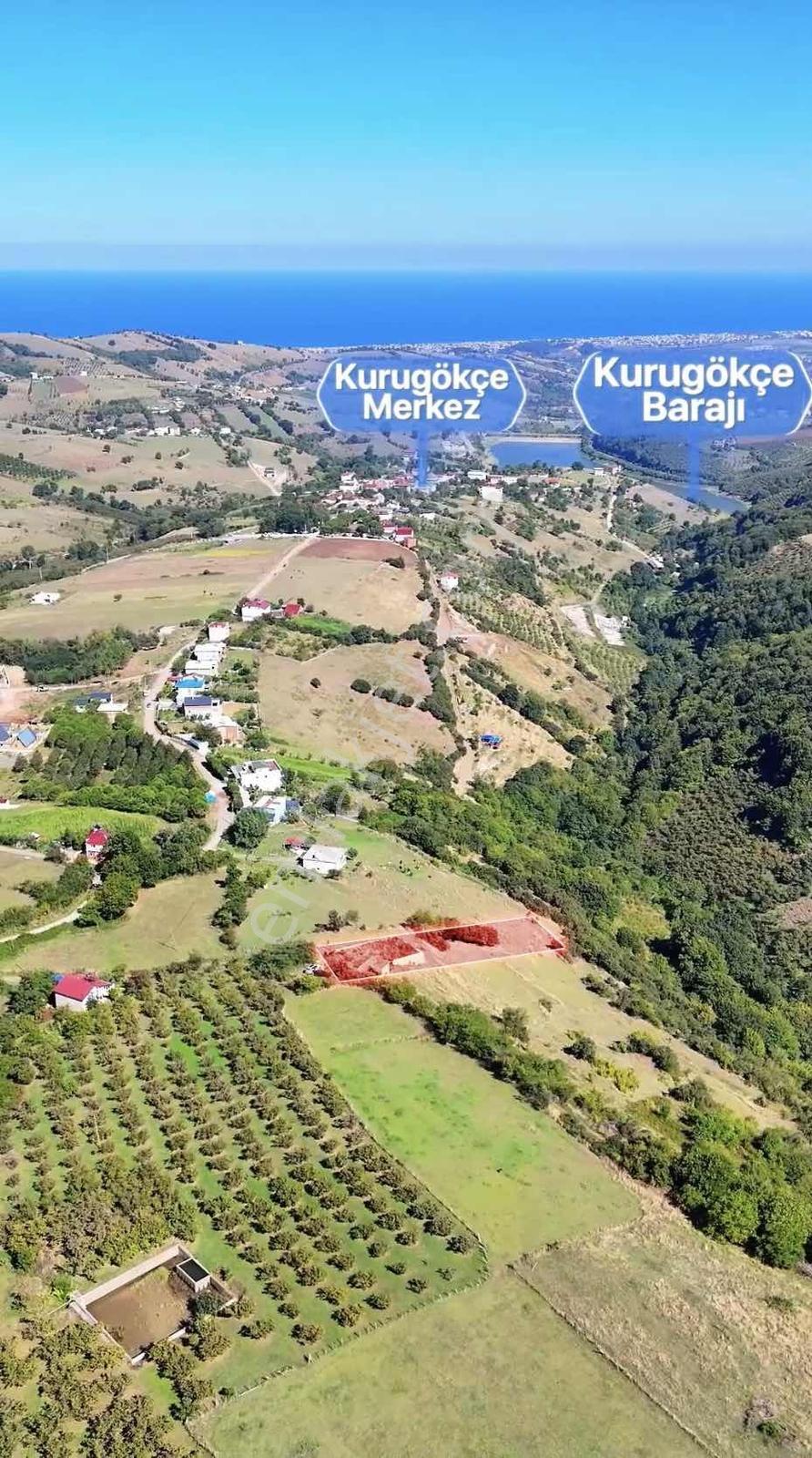 Kurugökçede Projesi Hazır Deniz Manzaralı Tarla — fotoğraf 13