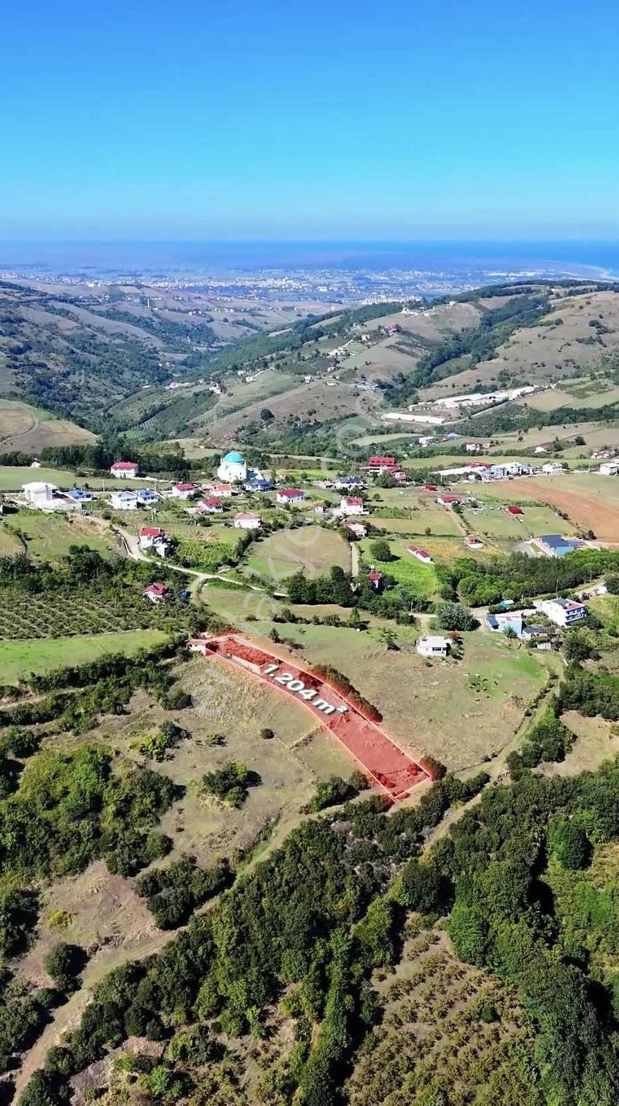 Kurugökçede Projesi Hazır Deniz Manzaralı Tarla — fotoğraf 14